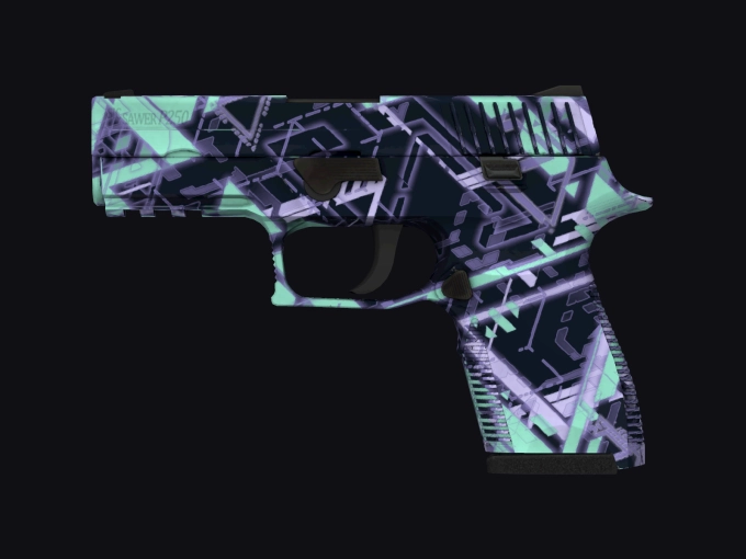 skin preview seed 791