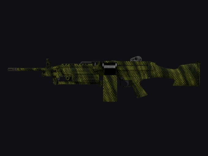 skin preview seed 47