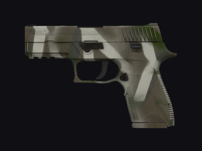 skin preview seed 258