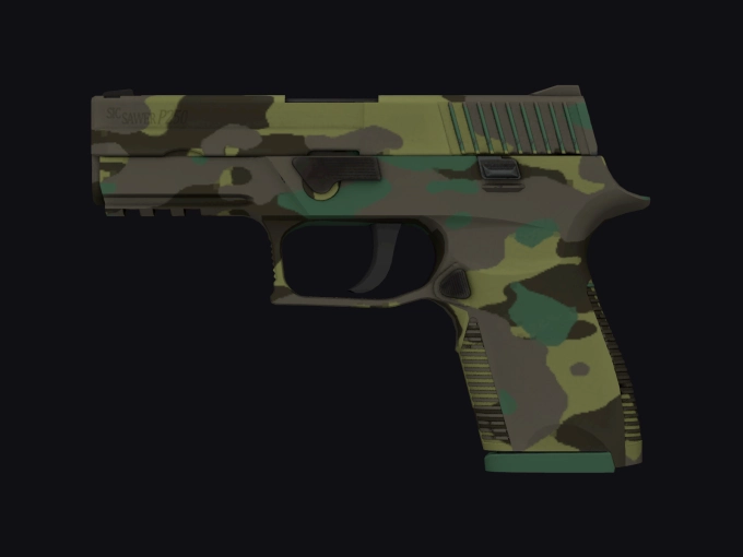 skin preview seed 913