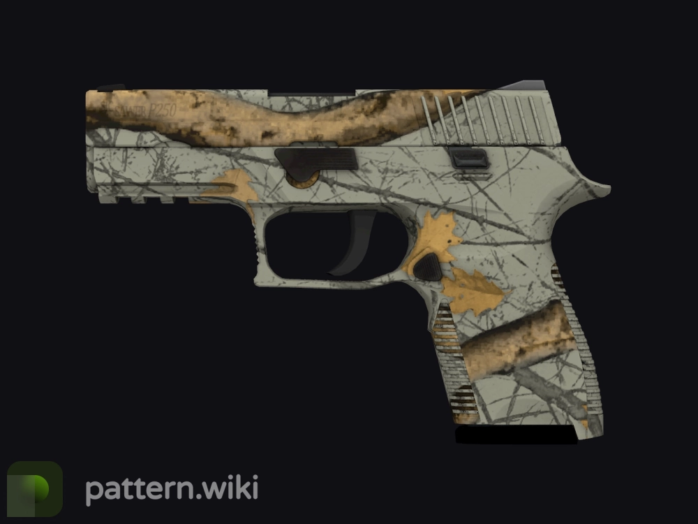 P250 Modern Hunter seed 163