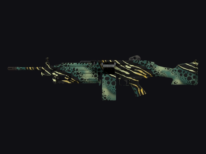 skin preview seed 997