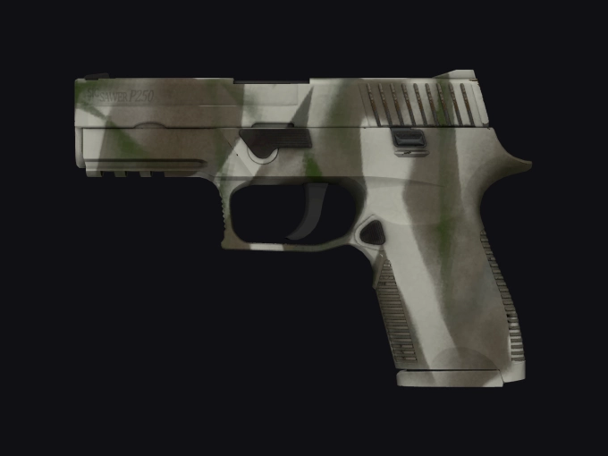 skin preview seed 304