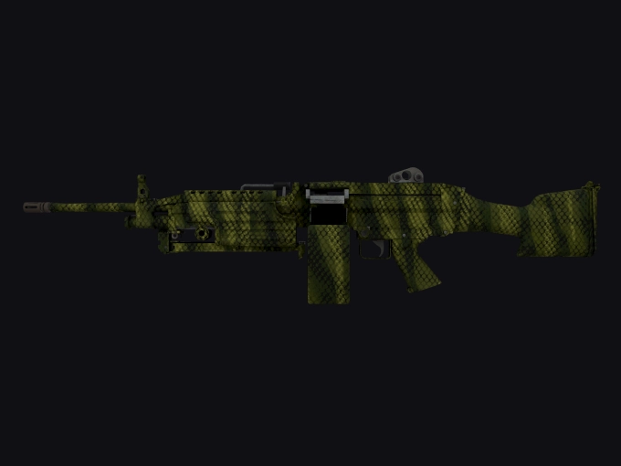 skin preview seed 31