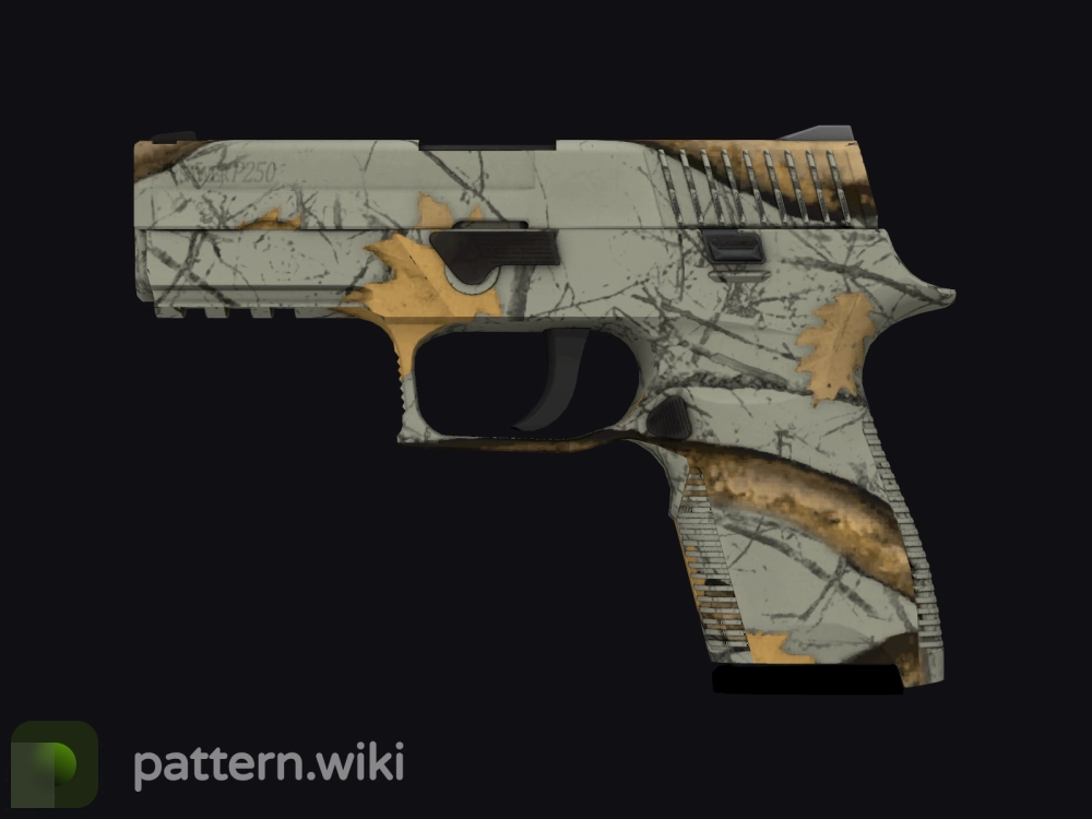 P250 Modern Hunter seed 679