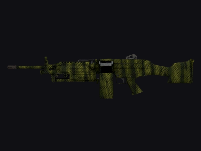 skin preview seed 281