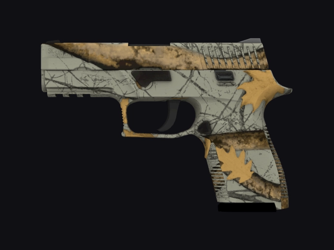 skin preview seed 162