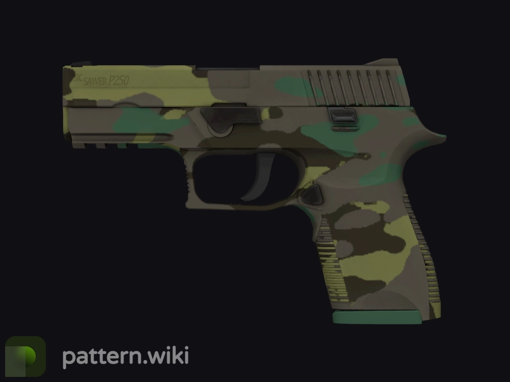 P250 Boreal Forest seed 801