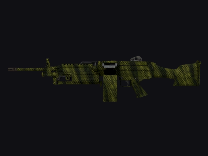 skin preview seed 900