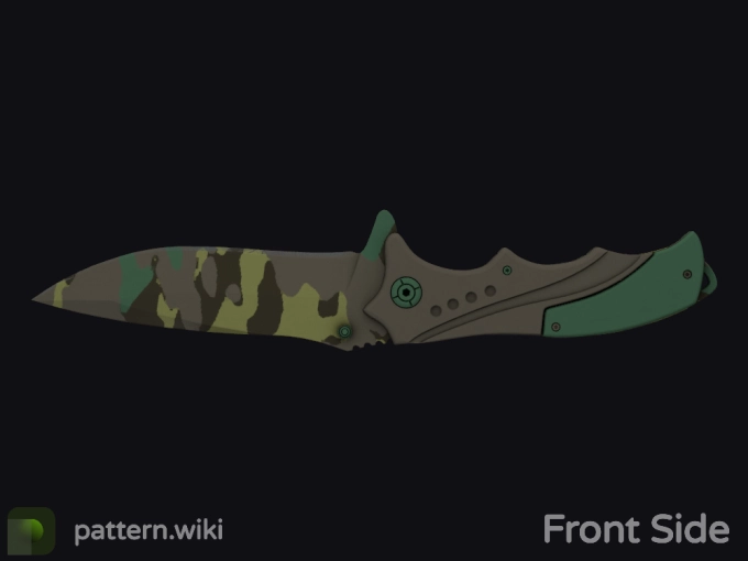 skin preview seed 763