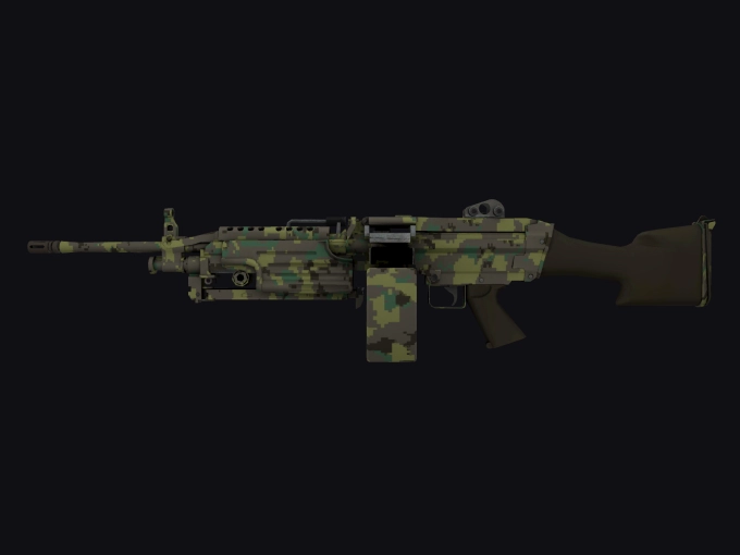 skin preview seed 303