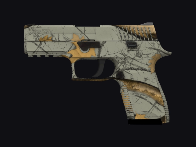 skin preview seed 308