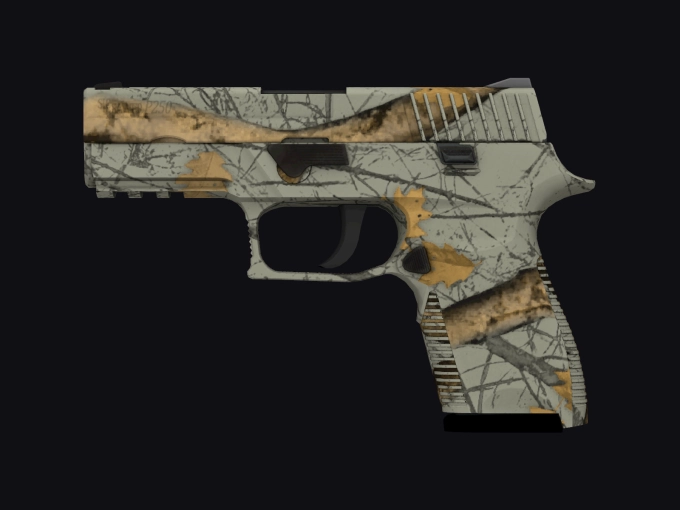 skin preview seed 269