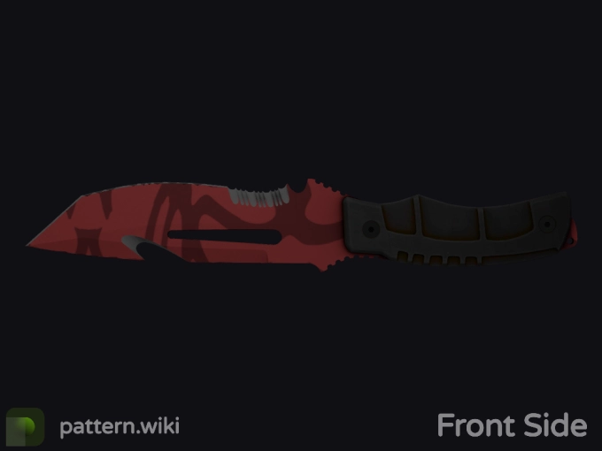 skin preview seed 504
