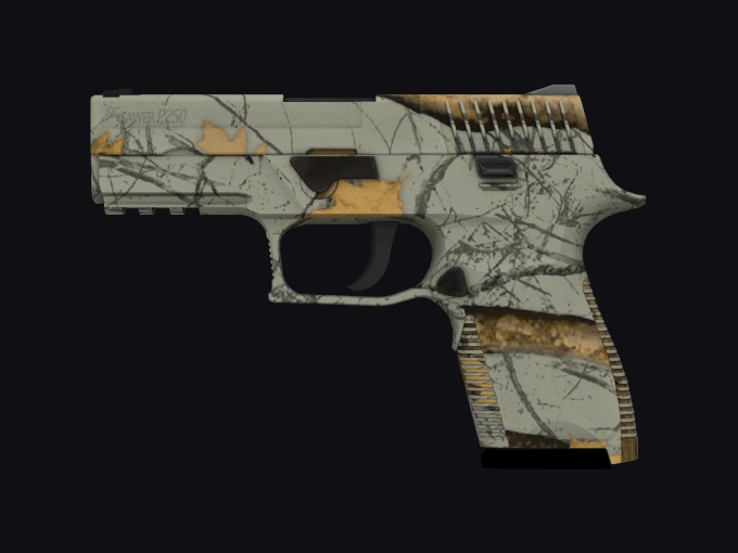 skin preview seed 656