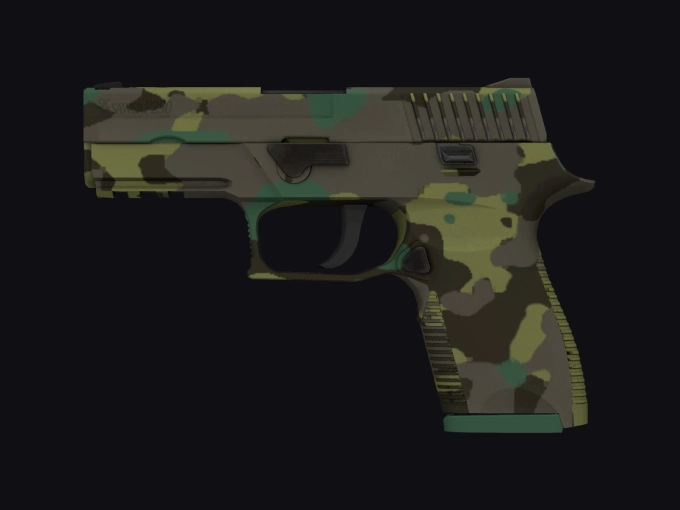 skin preview seed 870