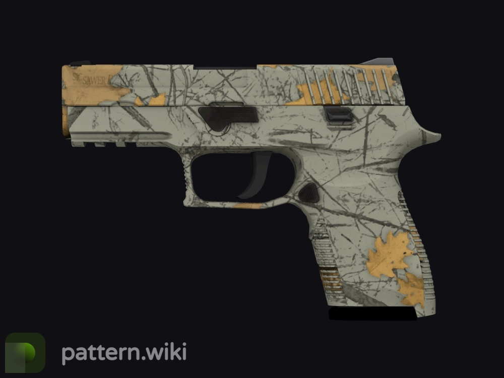 P250 Modern Hunter seed 41