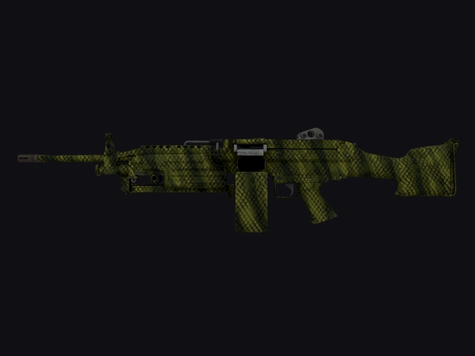 skin preview seed 904