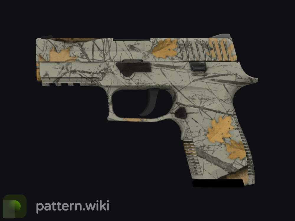 P250 Modern Hunter seed 836