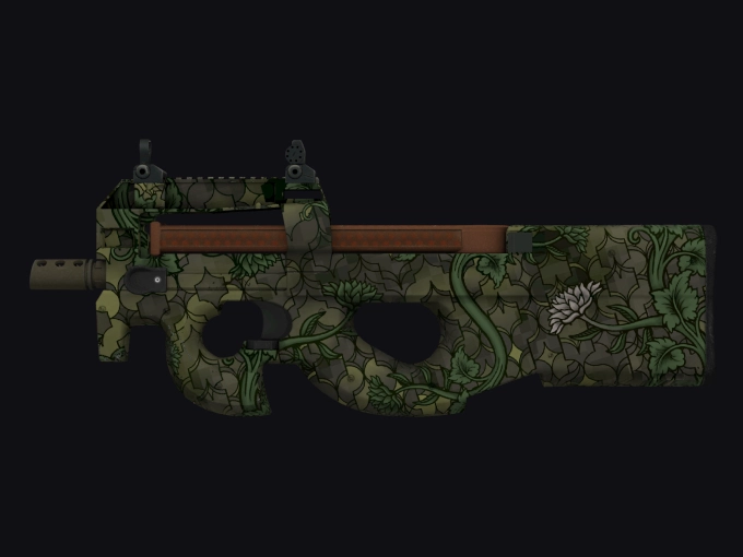 skin preview seed 209