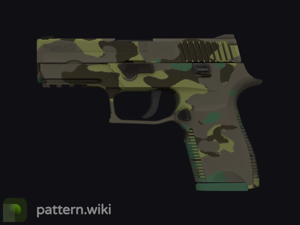 P250 Boreal Forest seed 360