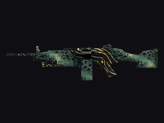 skin preview seed 981