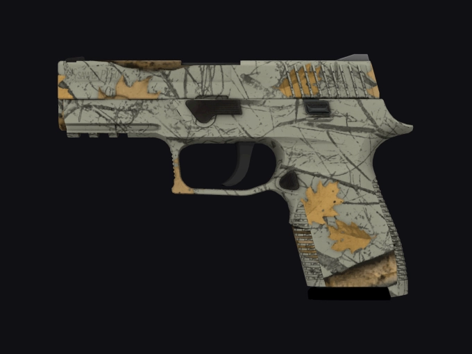 skin preview seed 210