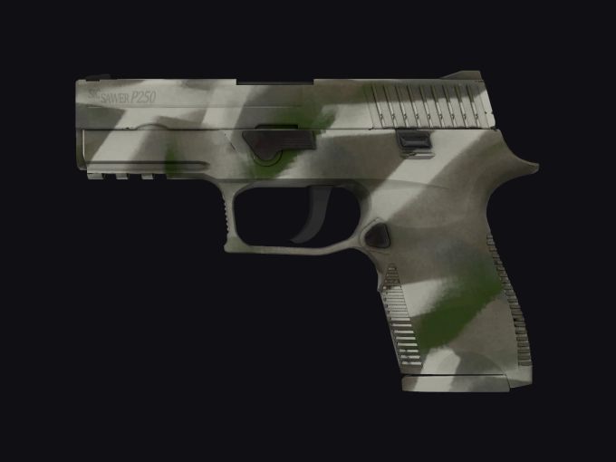 skin preview seed 908