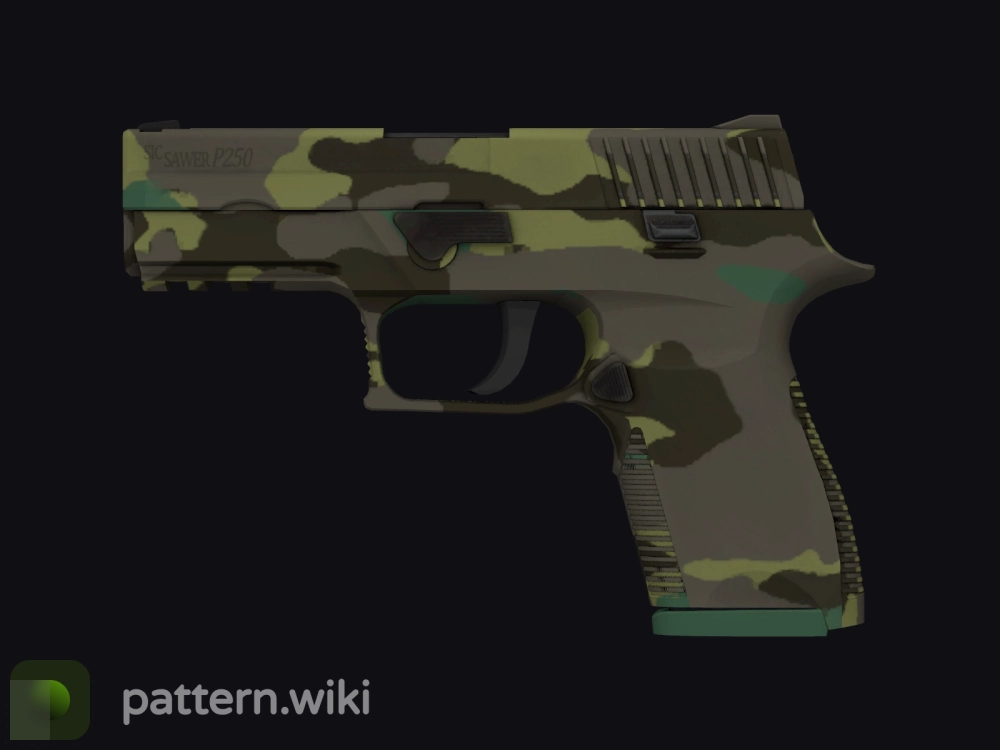 P250 Boreal Forest seed 504