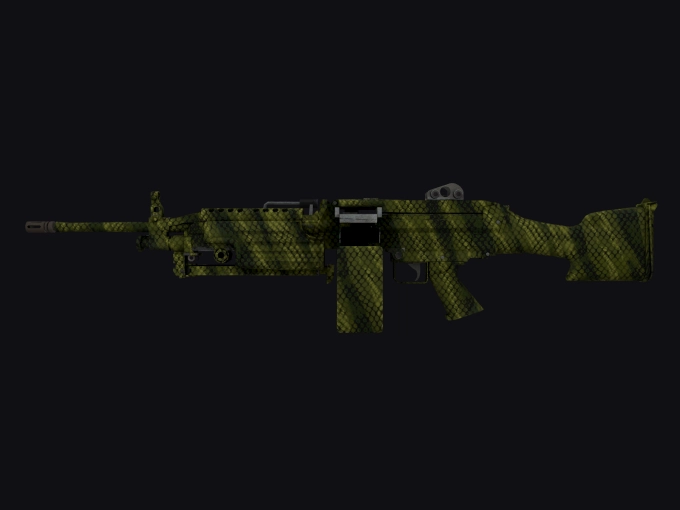 skin preview seed 902