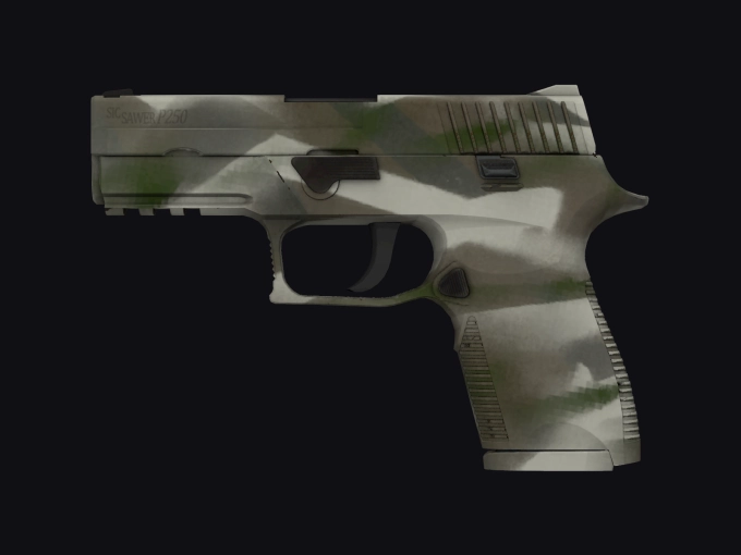 skin preview seed 256