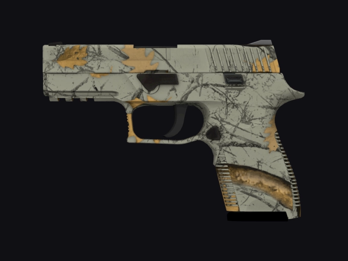 skin preview seed 261