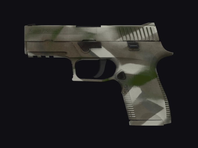 skin preview seed 205