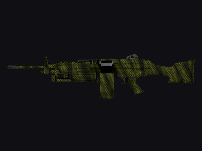 skin preview seed 260