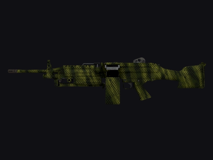 skin preview seed 905