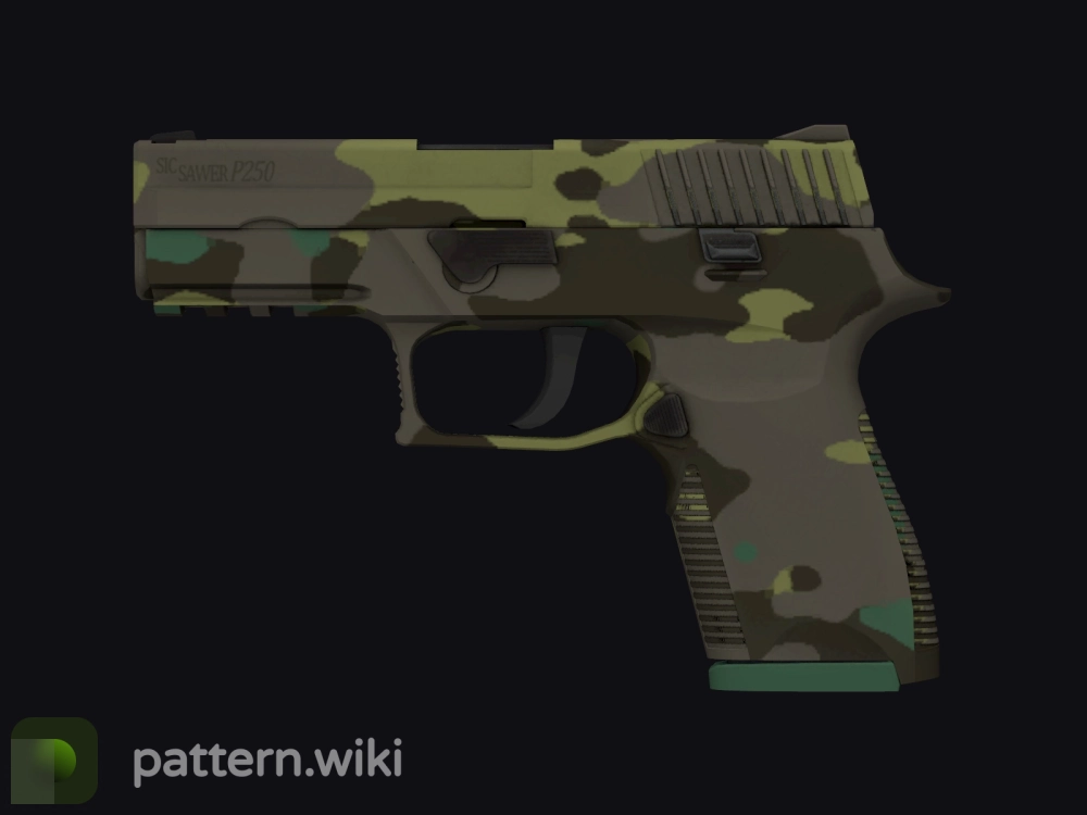 P250 Boreal Forest seed 18