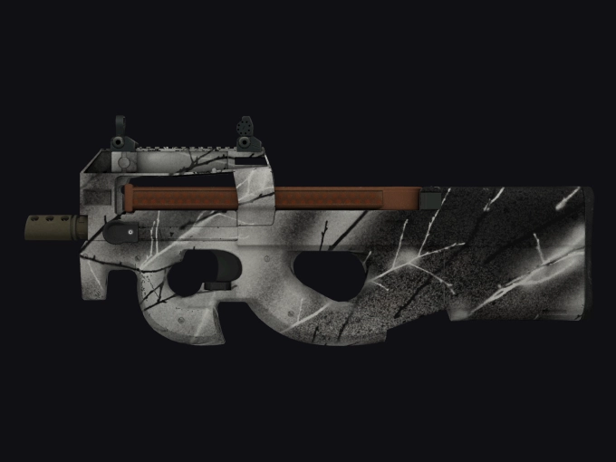 skin preview seed 204