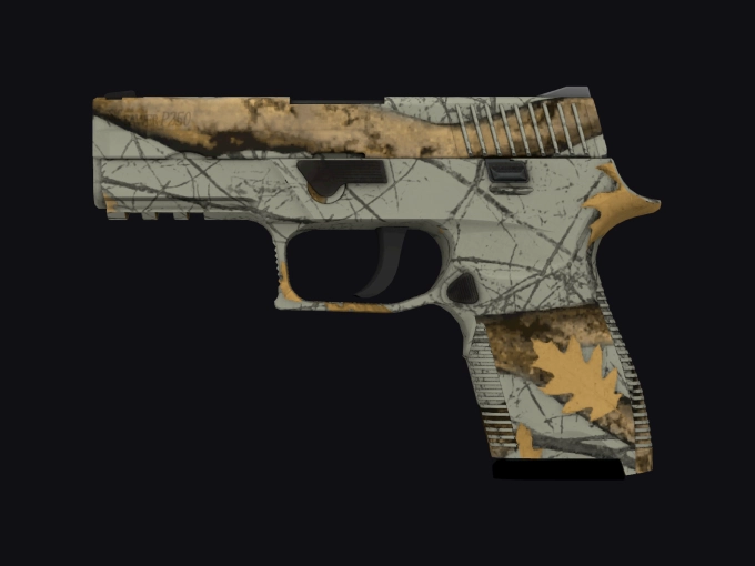 skin preview seed 1000