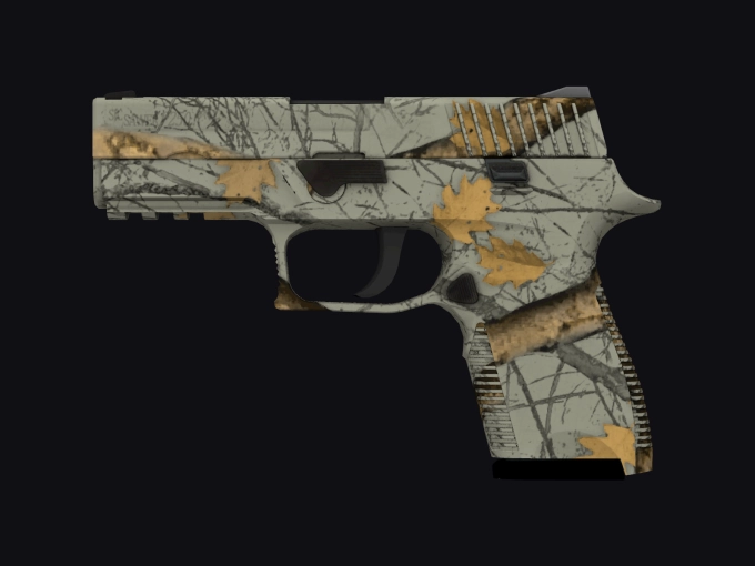 skin preview seed 323