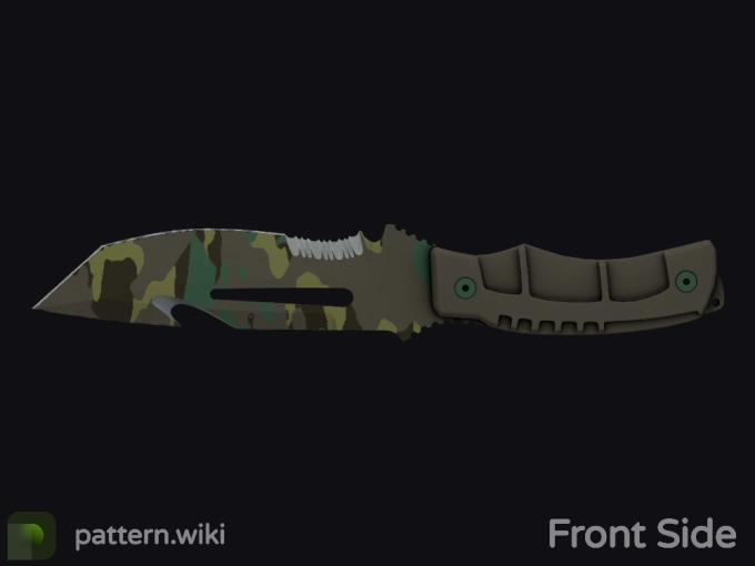 skin preview seed 176