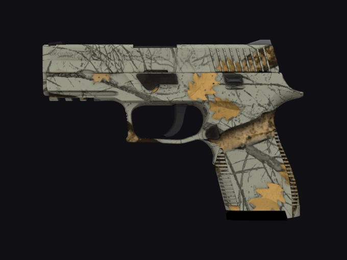 skin preview seed 903