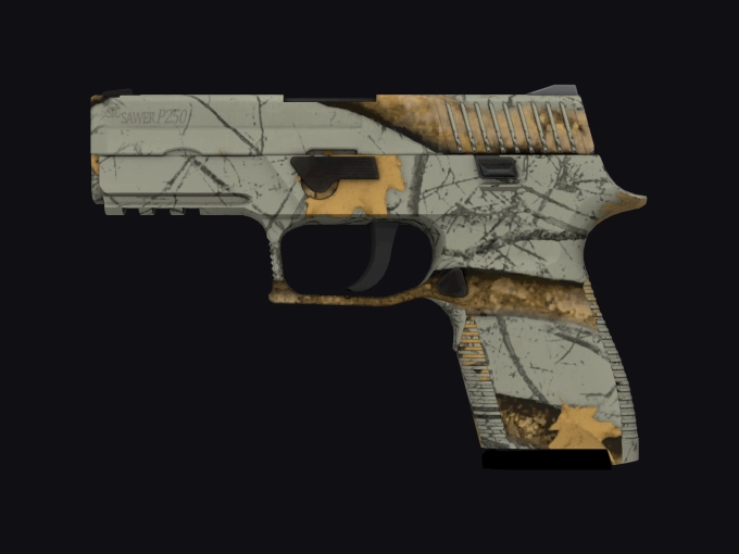 skin preview seed 322