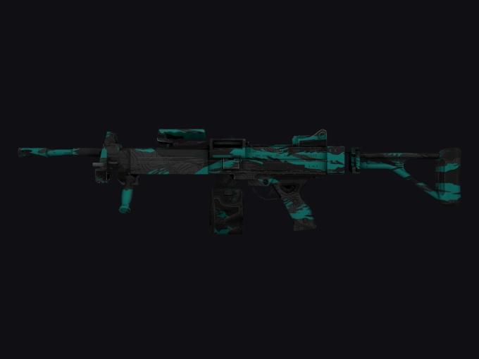 skin preview seed 981