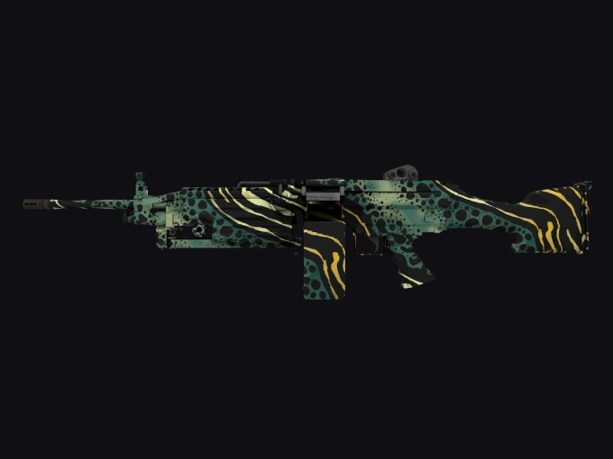 skin preview seed 907