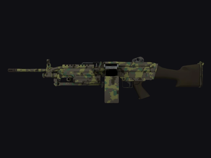 skin preview seed 902