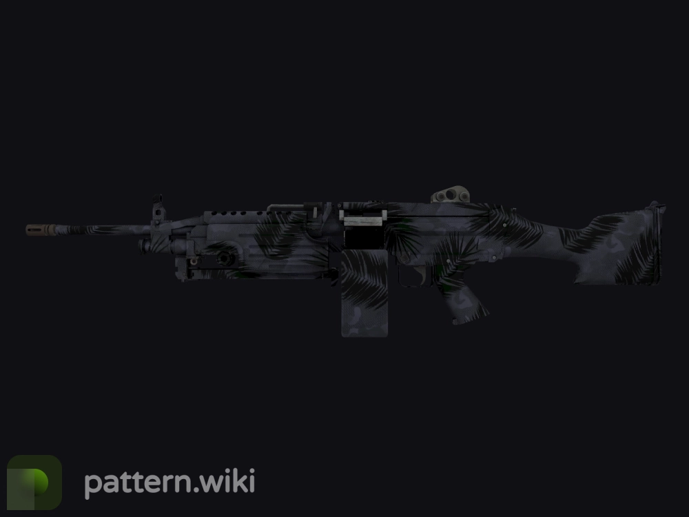 M249 Midnight Palm seed 49