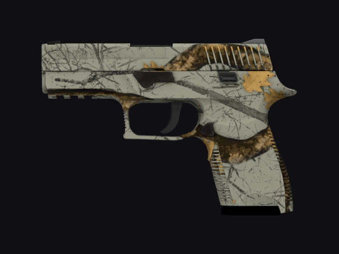 skin preview seed 922