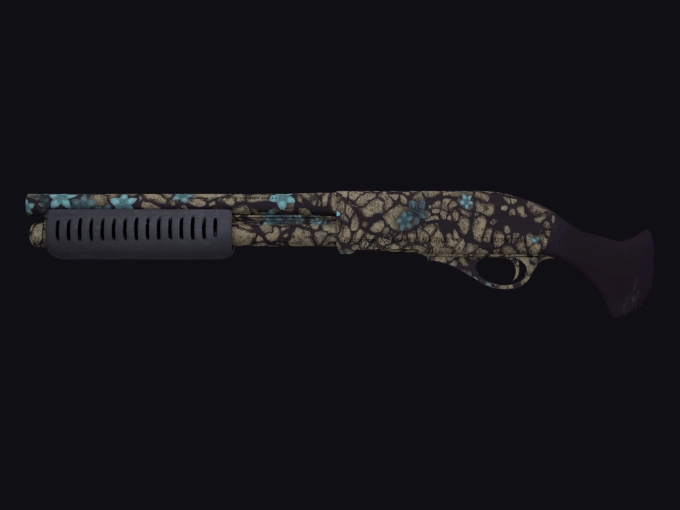 skin preview seed 81