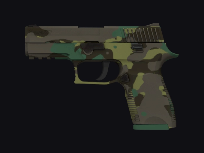 skin preview seed 904