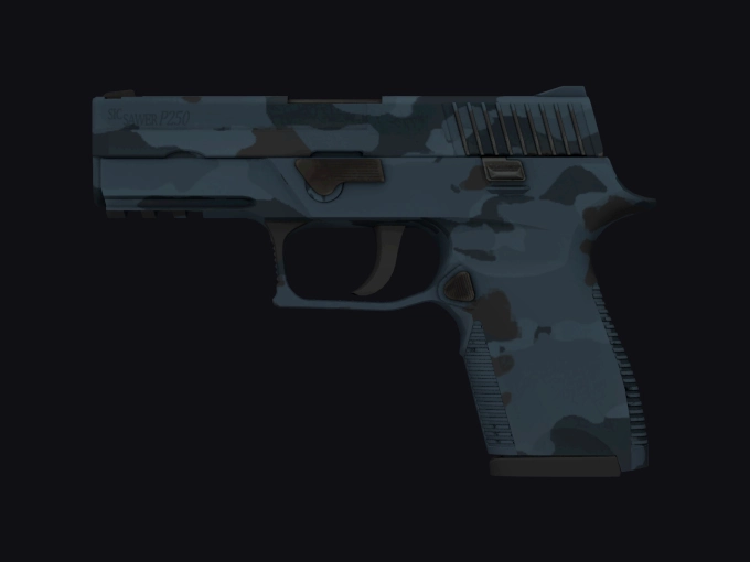 skin preview seed 312